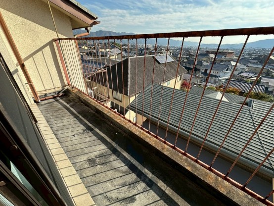 LINE_ALBUM_日ノ岡グリーンテラス 233番_251117_16