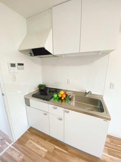 ブリッジ山科安朱203 (8)